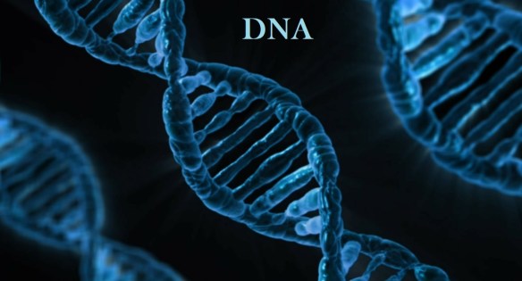 dna